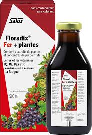 Floradix Fer + Plantes - Formule Liquide Riche en Fer et Vitamine C - 500 ml